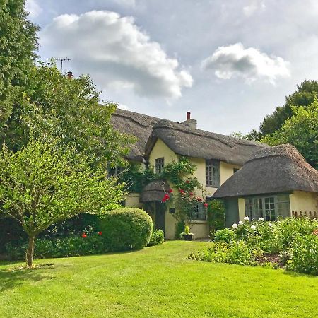 Beck Cottage, Wood Green, New Forest Uk Breamore Екстериор снимка